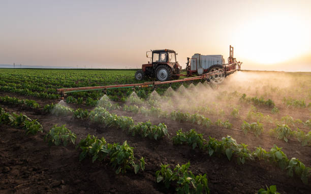 Best Pest Control for Businesses  in Perry, MI
