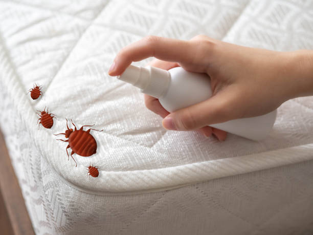Best Cockroach Control Services  in Perry, MI